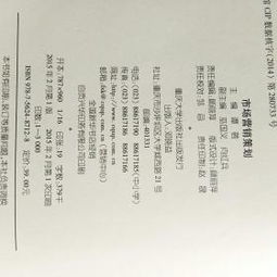 市场营销策划 从战略布局到价值实现的完整指南